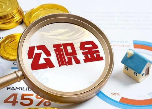 金华2025年政策调整对个人影响综合解析