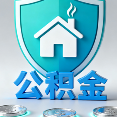 金华公积金代办行业观察：谁在提供专业服务？